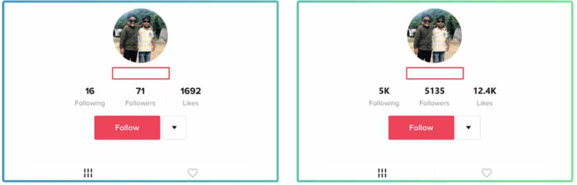 The number of likes and followers before and after promotion of the account in TikTok